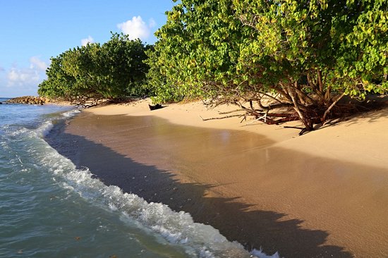 Anse du Souffleur