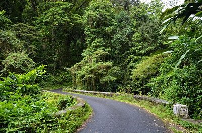 La route de la Trace 