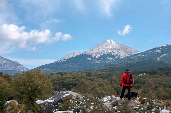 Parc naturel de la Sierra de las Nieves
