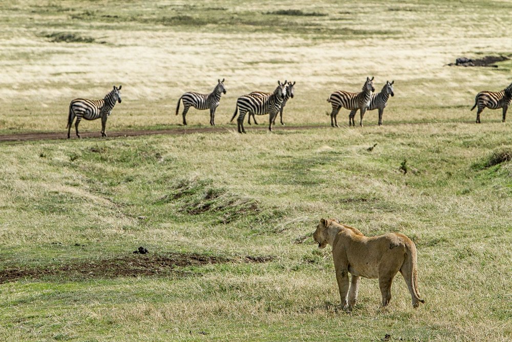 Tanzanie au mois de  avril