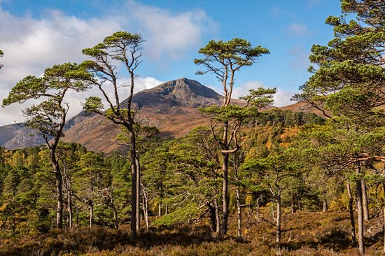 Glen Affric, Highlands