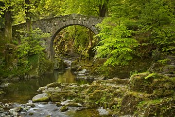 Tollymore Forest Park