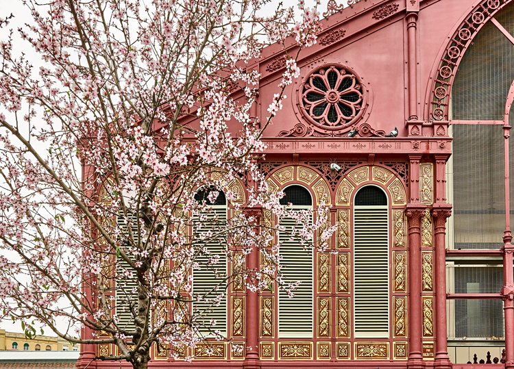 Le marché de Sant Antoni 3
