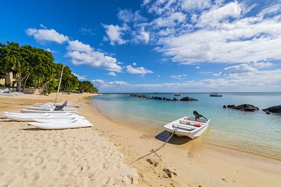Baie aux tortues