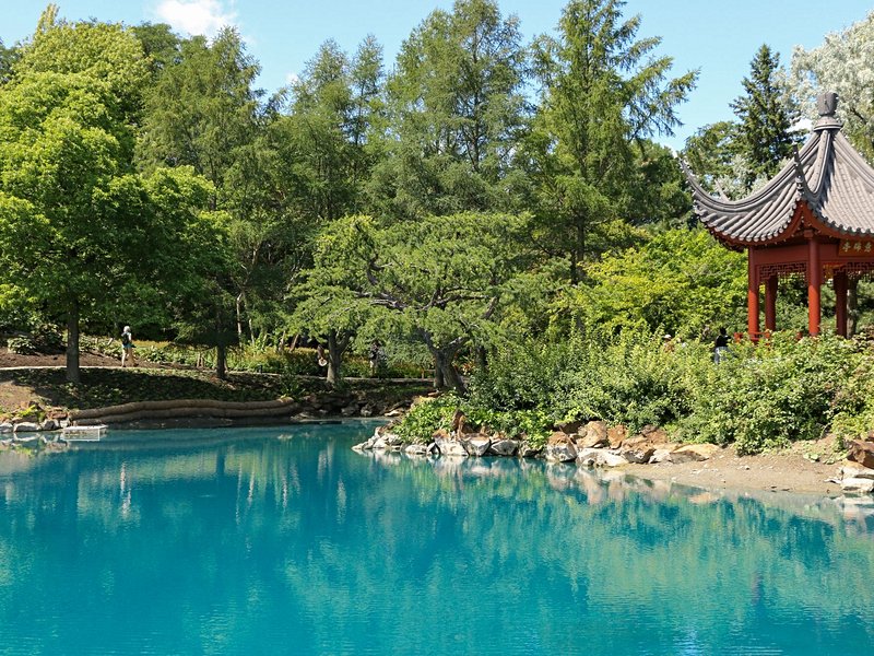 Le Jardin botanique