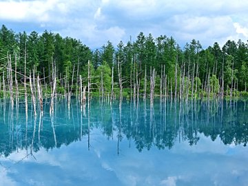 L'étang bleu - Aoi Ike