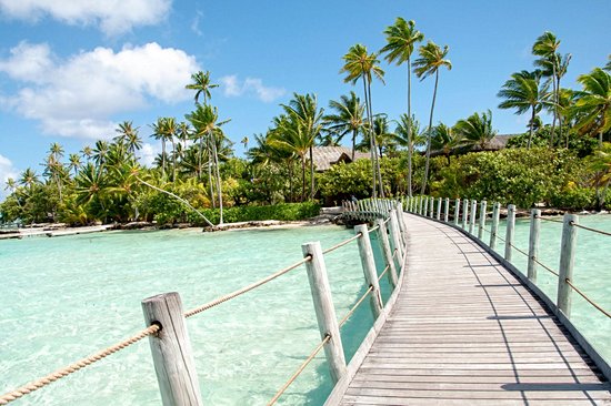 Tahaa