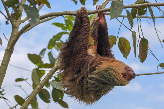 Le Parque Nacional Cahuita