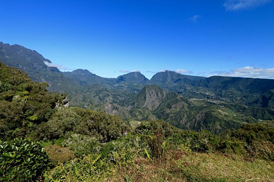 Forêt de Bélouve