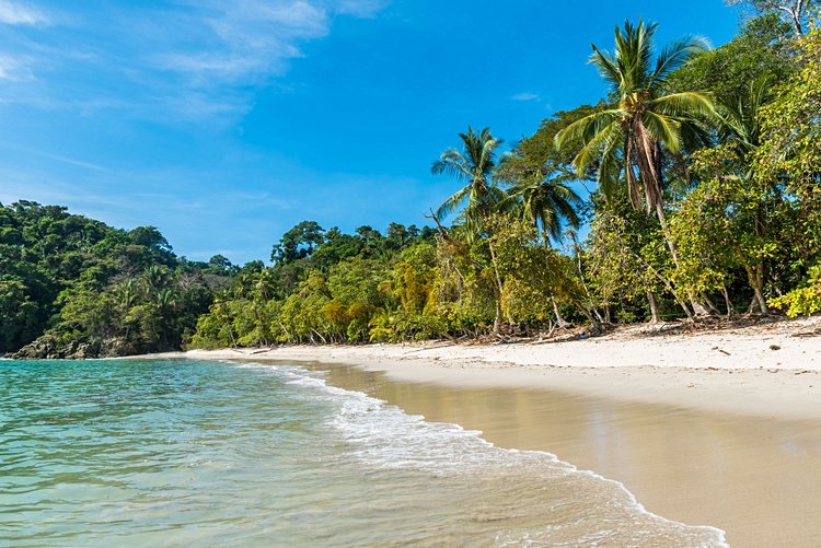 Le parc national de Manuel Antonio