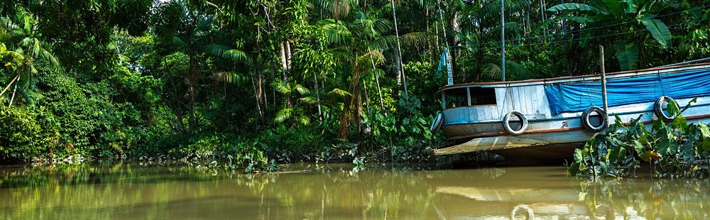 Belém et Manaus, Forêt Amazonienne