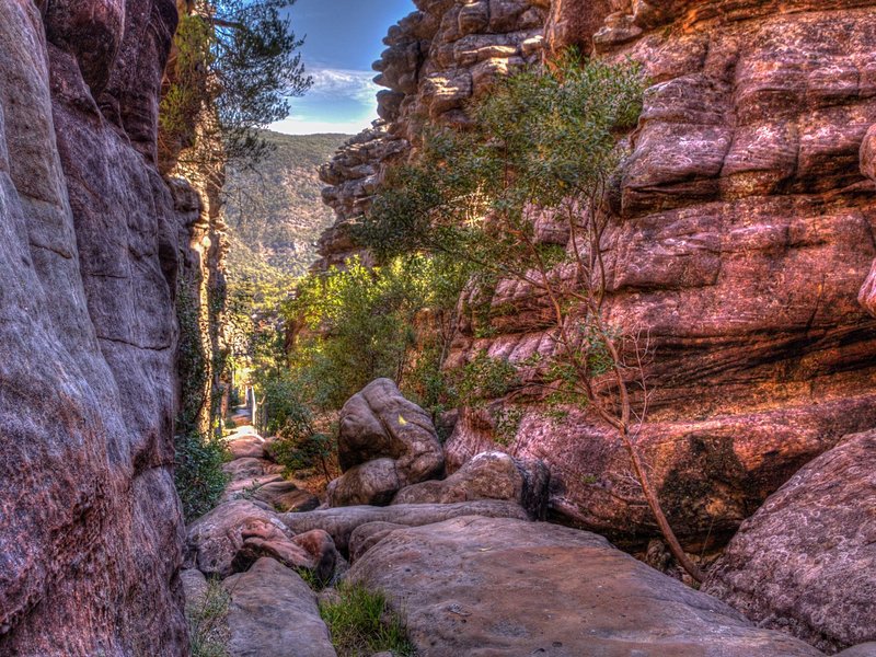 Les Pinnacles (Coromandel)