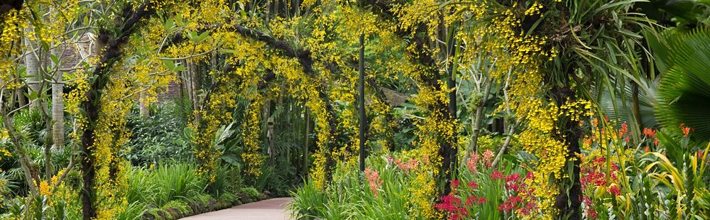 Jardin botanique de Singapour