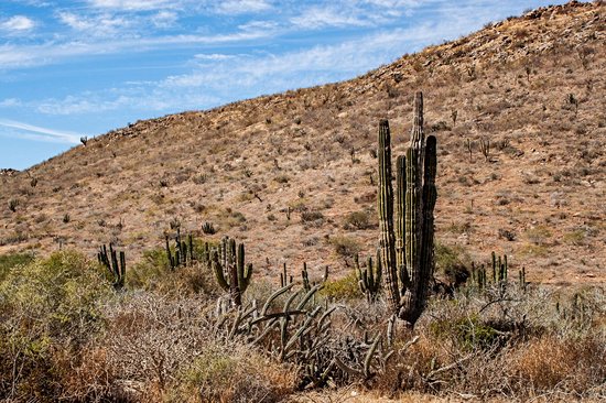 Todos Santos