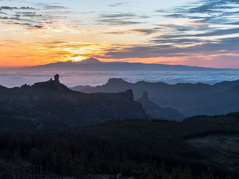 El Pico de las Nieves