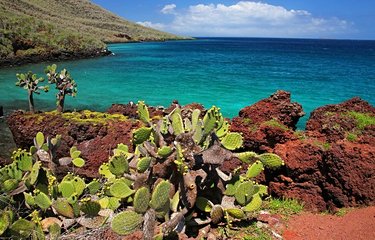 Les îles Galápagos