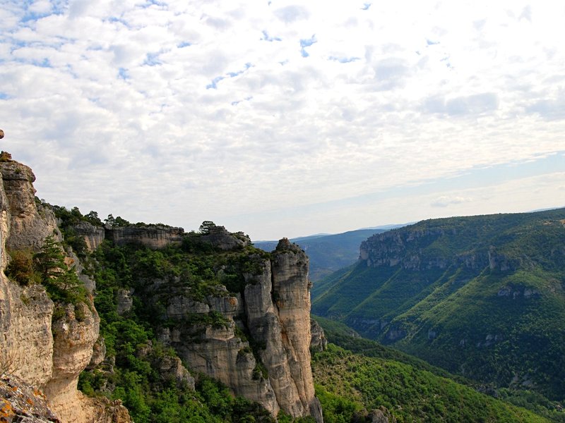 Les gorges de la Dourbie