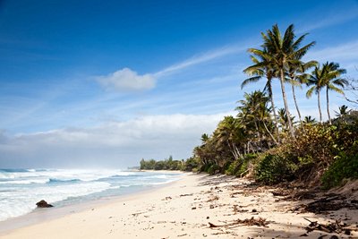 Oahu