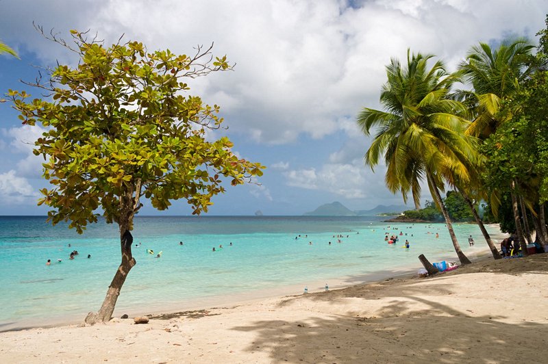 plage L’Anse Figuier à Rivière-Pilote