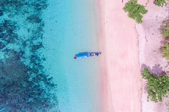 Pink Sands Beach