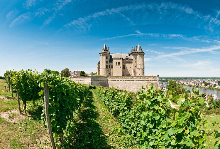 La route des vins