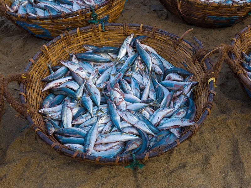 Marché aux poissons