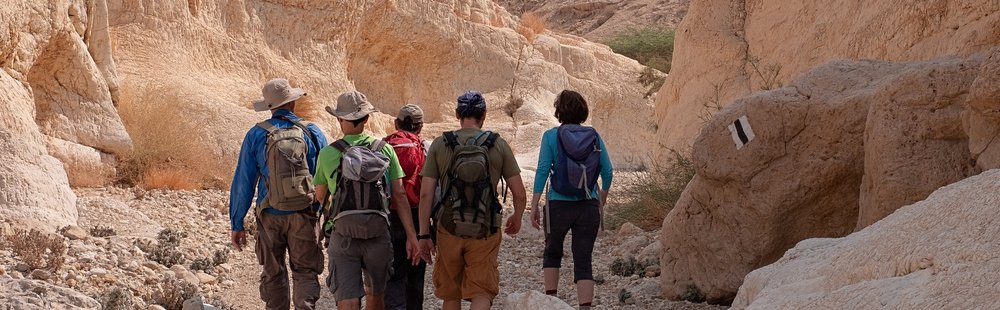 L'asséchée : Chemin Zafit