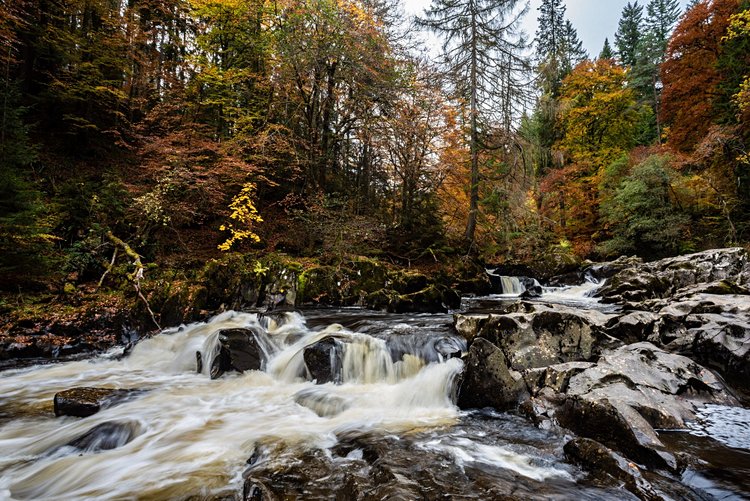 The Hermitage, Dunkeld, Perthshire 2