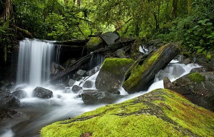 Chiriqui