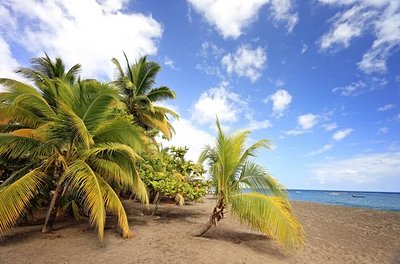 Plage Grande Anse au Carbet