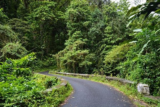 Parcourir l’île en road trip