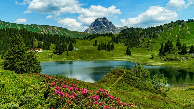 Bregenzerwald 2