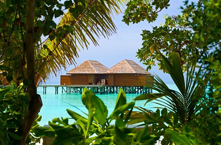 Plage de Veligandu, Atoll Ari, Maldives 3