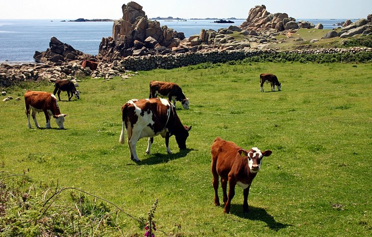 Les Iles Scilly 3