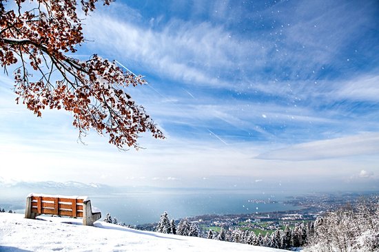 La rando canadienne : le Titisee