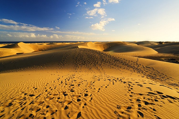 Les dunes de Maspalomas