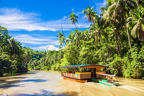 Remonter la Loboc River en croisière