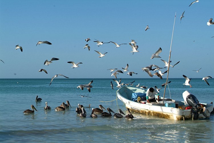 Isla Holbox 3