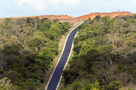 Parc national de Zombitse-Vohibasia