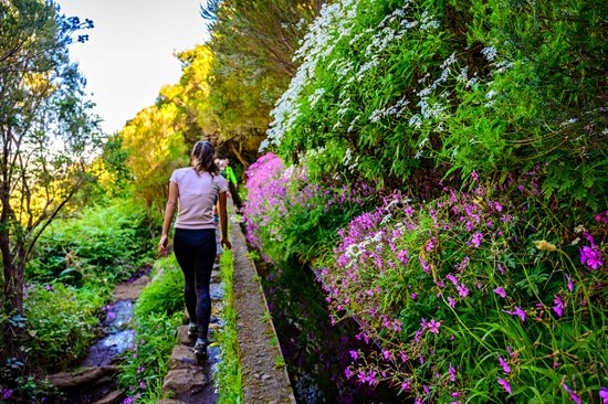 Levada dos Balcões