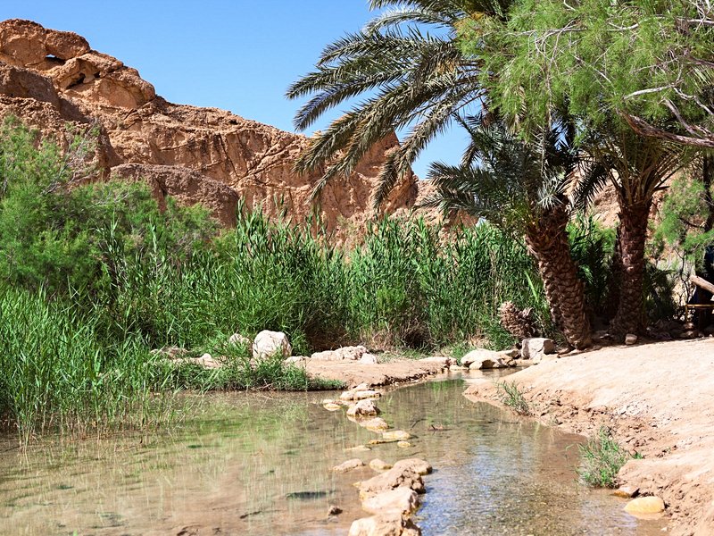 Ksar Ghilane