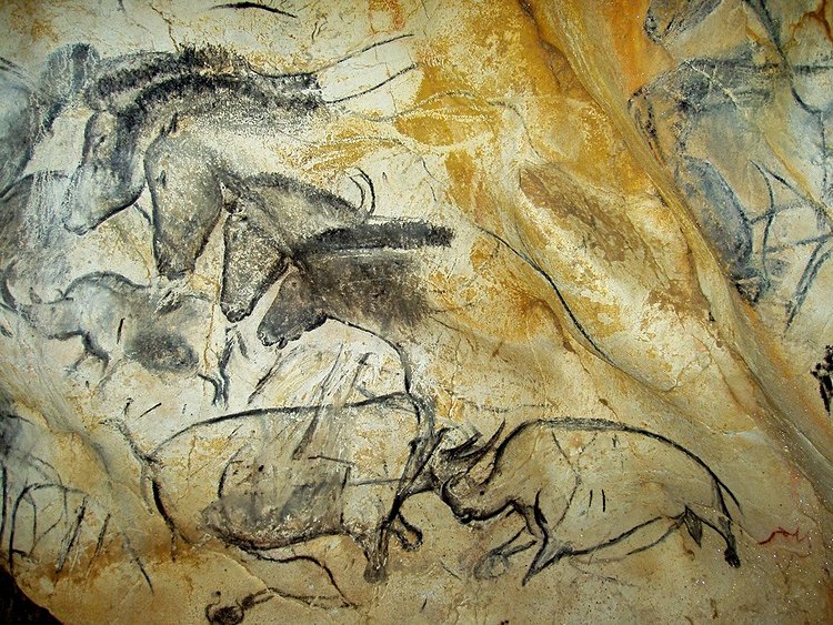 La grotte Chauvet : une des plus belles grottes ornées