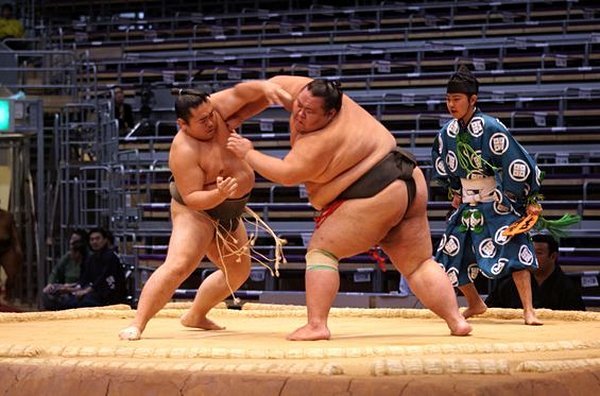 Assister à un tournoi de sumos