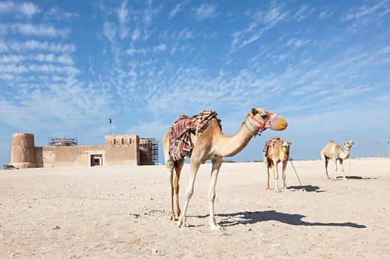 Al Zubarah