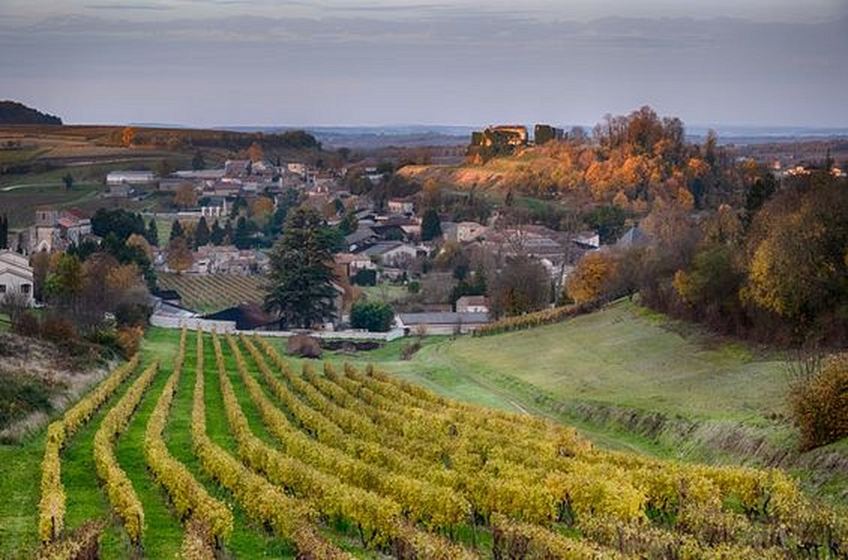 Faire de l’œnotourisme dans le vignoble de Cognac