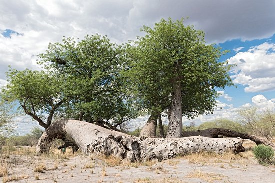 Parc national de Khaudum