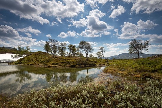 Femundsmarka