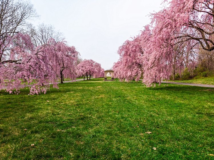 Fairmount Park