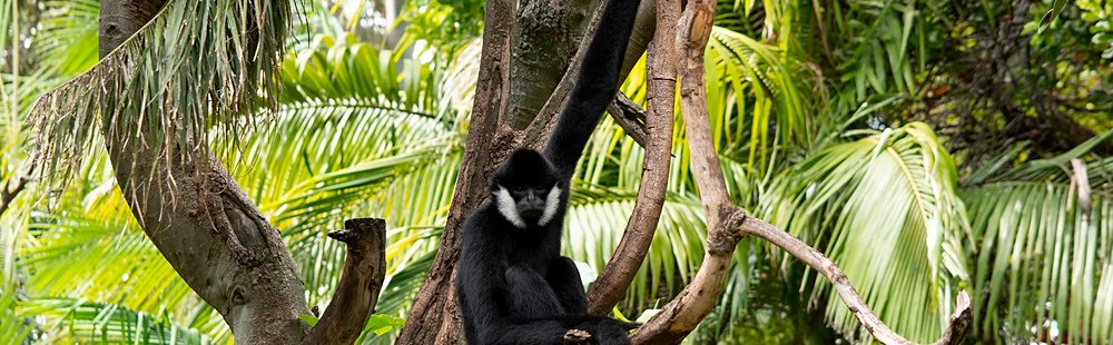 Nam Et-Phou Louey National Park
