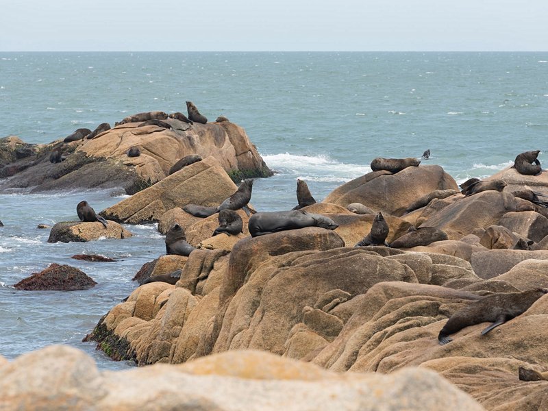 Cabo Polonio